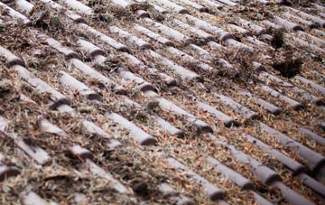 Salt Hill roof cleaning companies